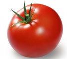 tomato88's Avatar