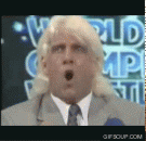 Ric Flair's Avatar