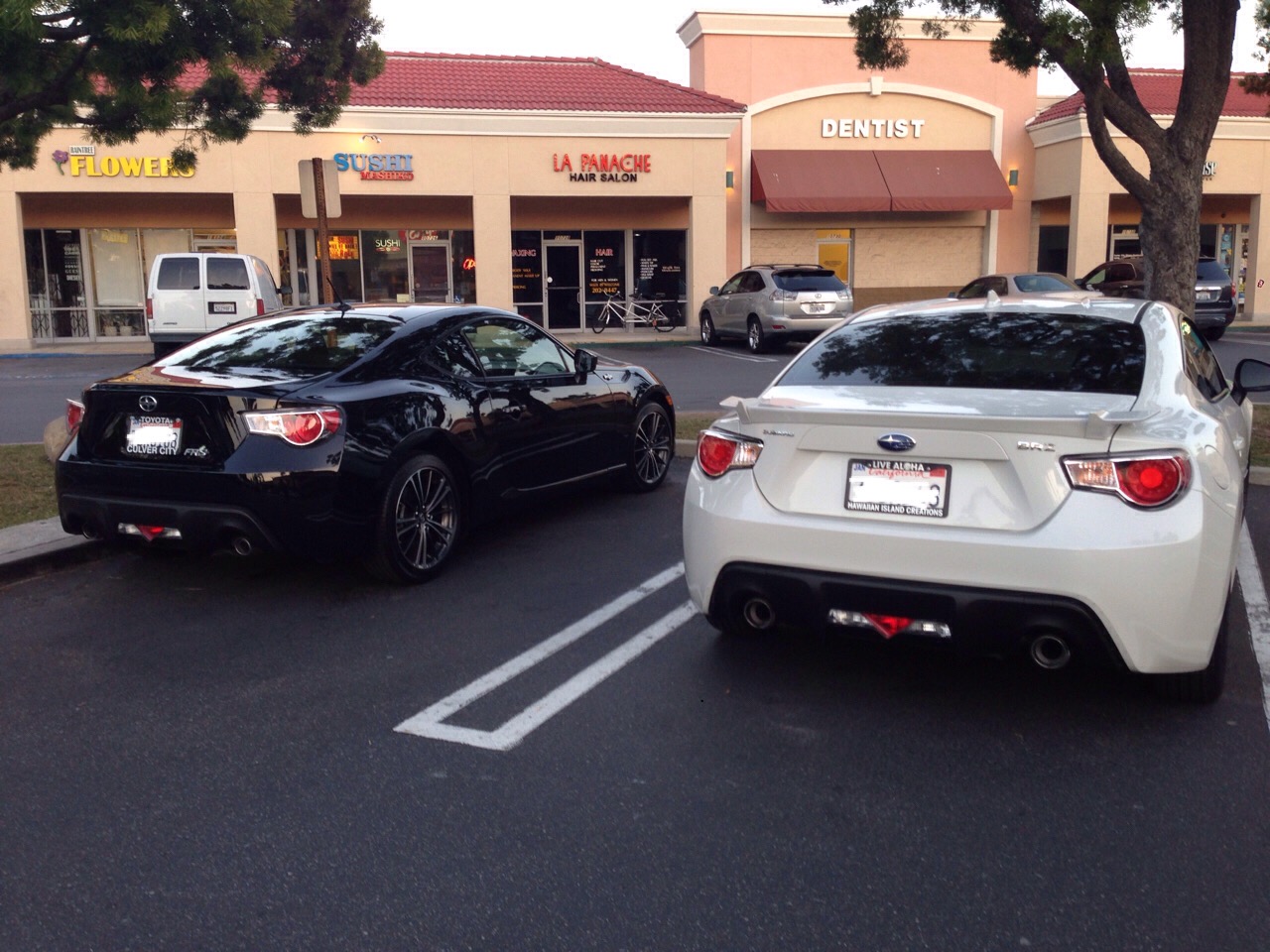 Name:  04.12.15 2.JPG
Views: 781
Size:  313.2 KB