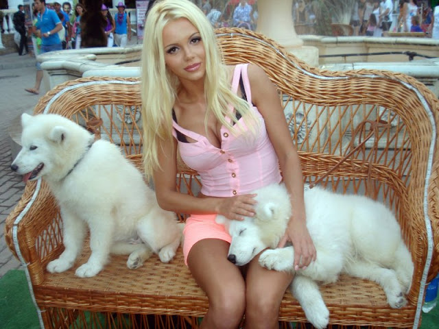 Name:  eR7L1xh.jpg
Views: 415
Size:  98.5 KB