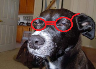 Name:  Untitled.png
Views: 473
Size:  154.9 KB