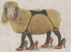 Name:  12436_kinky+sheep.jpg
Views: 445
Size:  11.0 KB