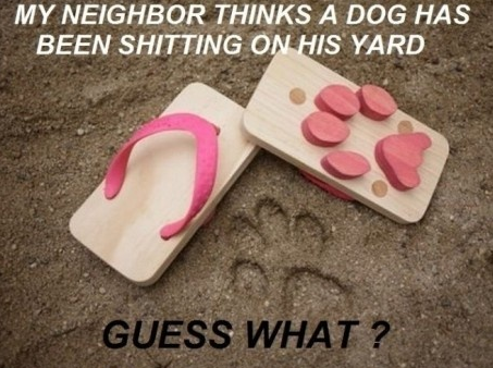 Name:  pjd-bye-week-meme.png
Views: 581
Size:  250.4 KB