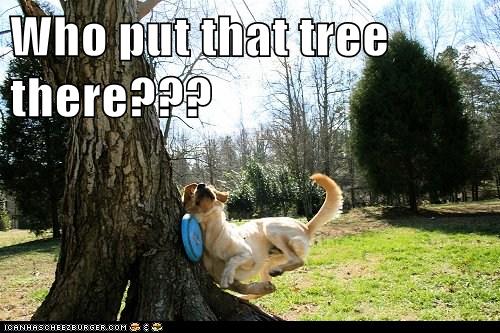 Name:  attack tree 2.jpg
Views: 522
Size:  47.2 KB