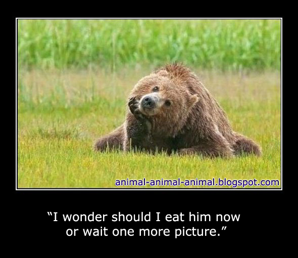 Name:  image.png
Views: 609
Size:  291.7 KB