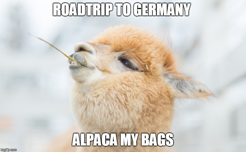 Name:  zdk82.jpg
Views: 732
Size:  69.0 KB