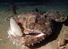 Name:  images.jpeg
Views: 684
Size:  10.1 KB