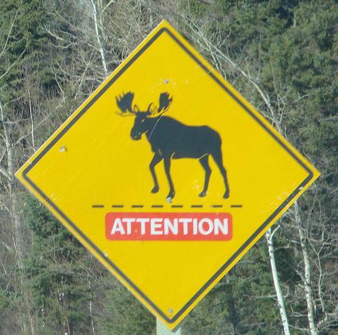 Name:  attention-moose.jpg
Views: 573
Size:  48.6 KB