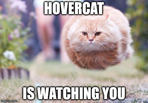 Name:  hovercatmeme.jpg
Views: 744
Size:  55.2 KB