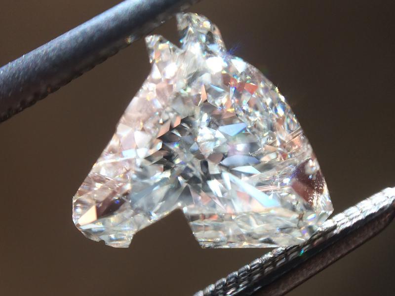 Name:  r6018-horse-head-diamond-c.jpg
Views: 304
Size:  49.2 KB