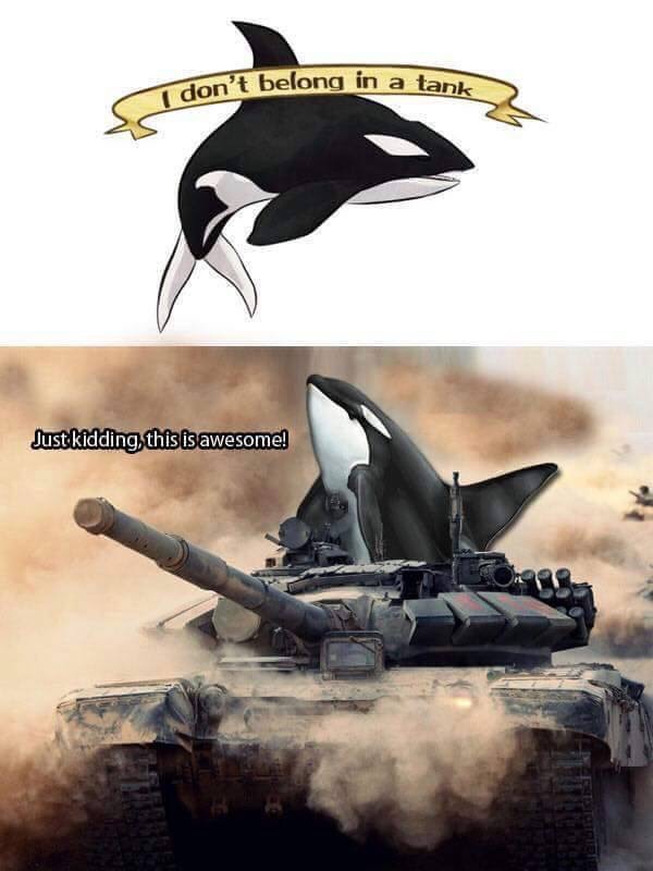 Name:  tumblr_o70pazbO5I1rn1p17o1_1280.jpg
Views: 548
Size:  85.4 KB