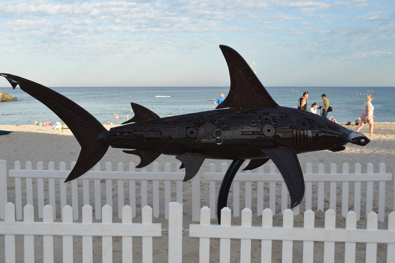 Name:  DSC_7158.JPG
Views: 207
Size:  318.5 KB