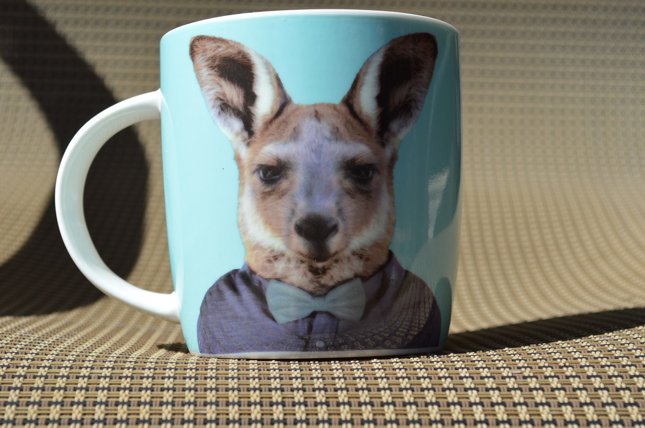 Name:  DSC_7201.JPG
Views: 312
Size:  352.1 KB