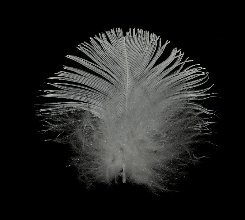 Name:  P1110401aa.jpg
Views: 465
Size:  375.4 KB