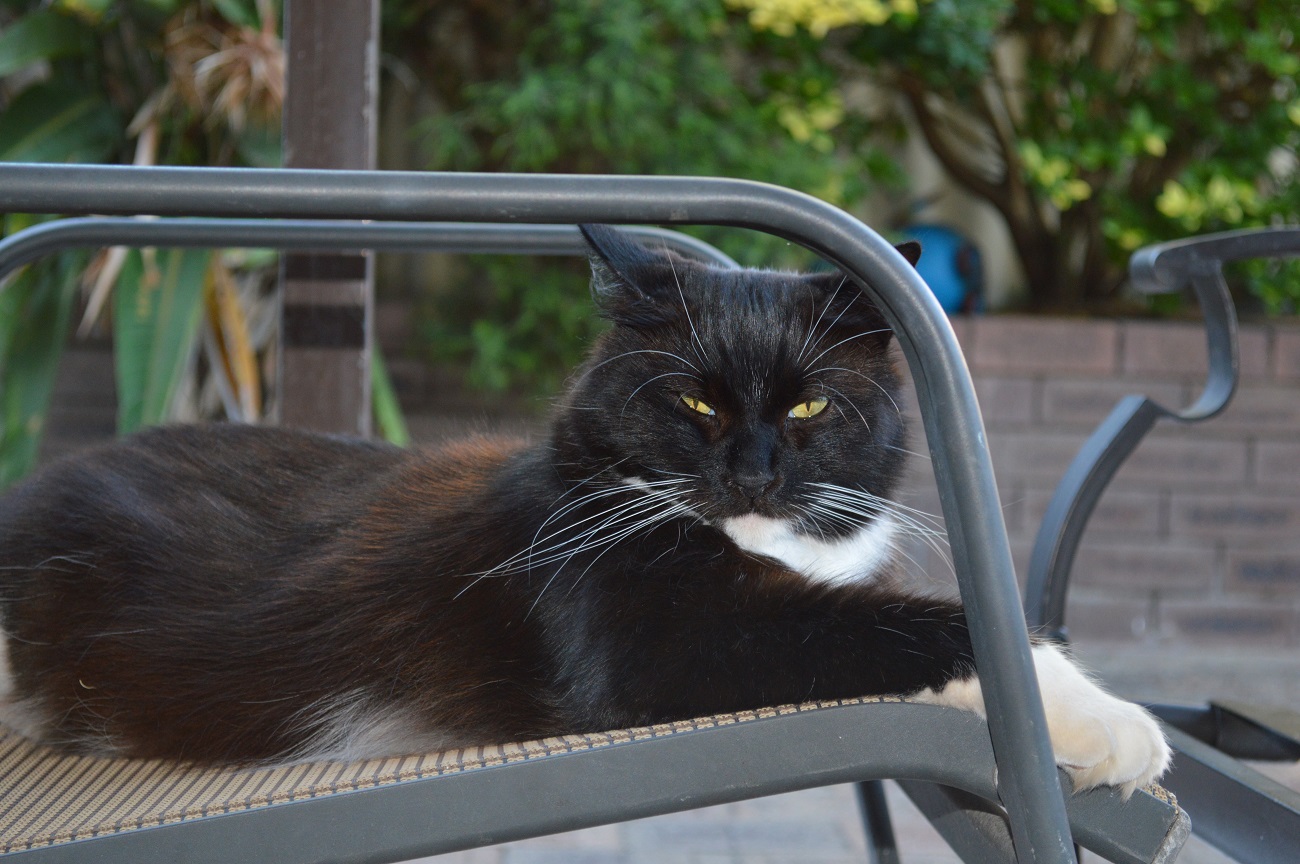 Name:  DSC_7128.JPG
Views: 256
Size:  361.5 KB