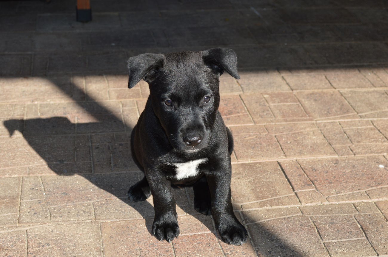 Name:  DSC_7214.JPG
Views: 299
Size:  379.2 KB