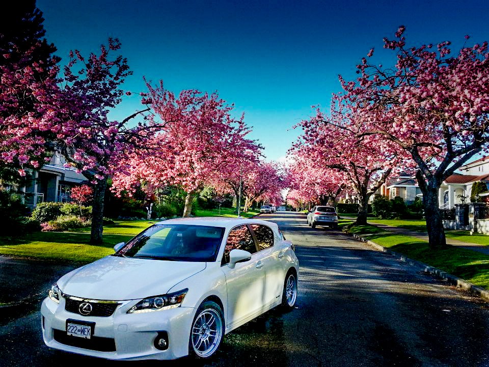 Name:  936310_10152768477570182_1142036540_n.jpg
Views: 1301
Size:  239.7 KB