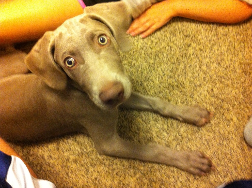 Name:  ImageUploadedByTapatalk1349863980.987717.jpg
Views: 1310
Size:  291.2 KB