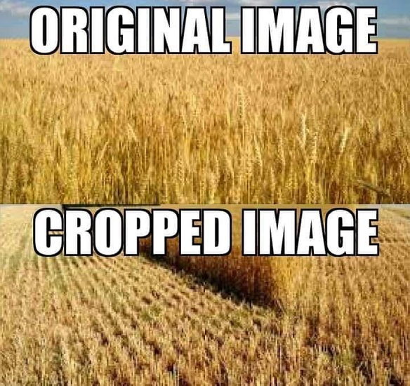 Name:  xuOKt0t.jpeg
Views: 295
Size:  149.4 KB