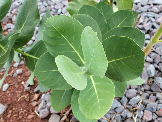 Name:  .jpg
Views: 1291
Size:  313.4 KB