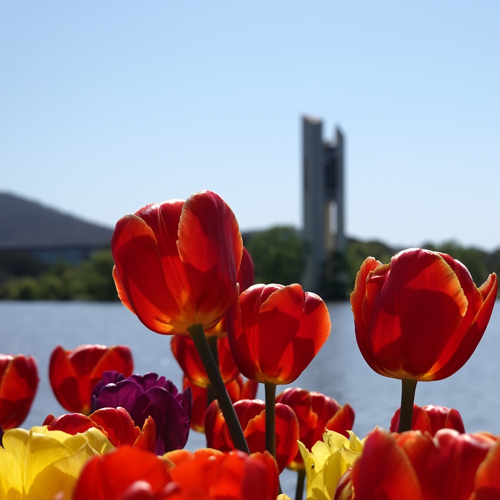 Name:  DSC00135_DxO.jpg
Views: 260
Size:  196.7 KB