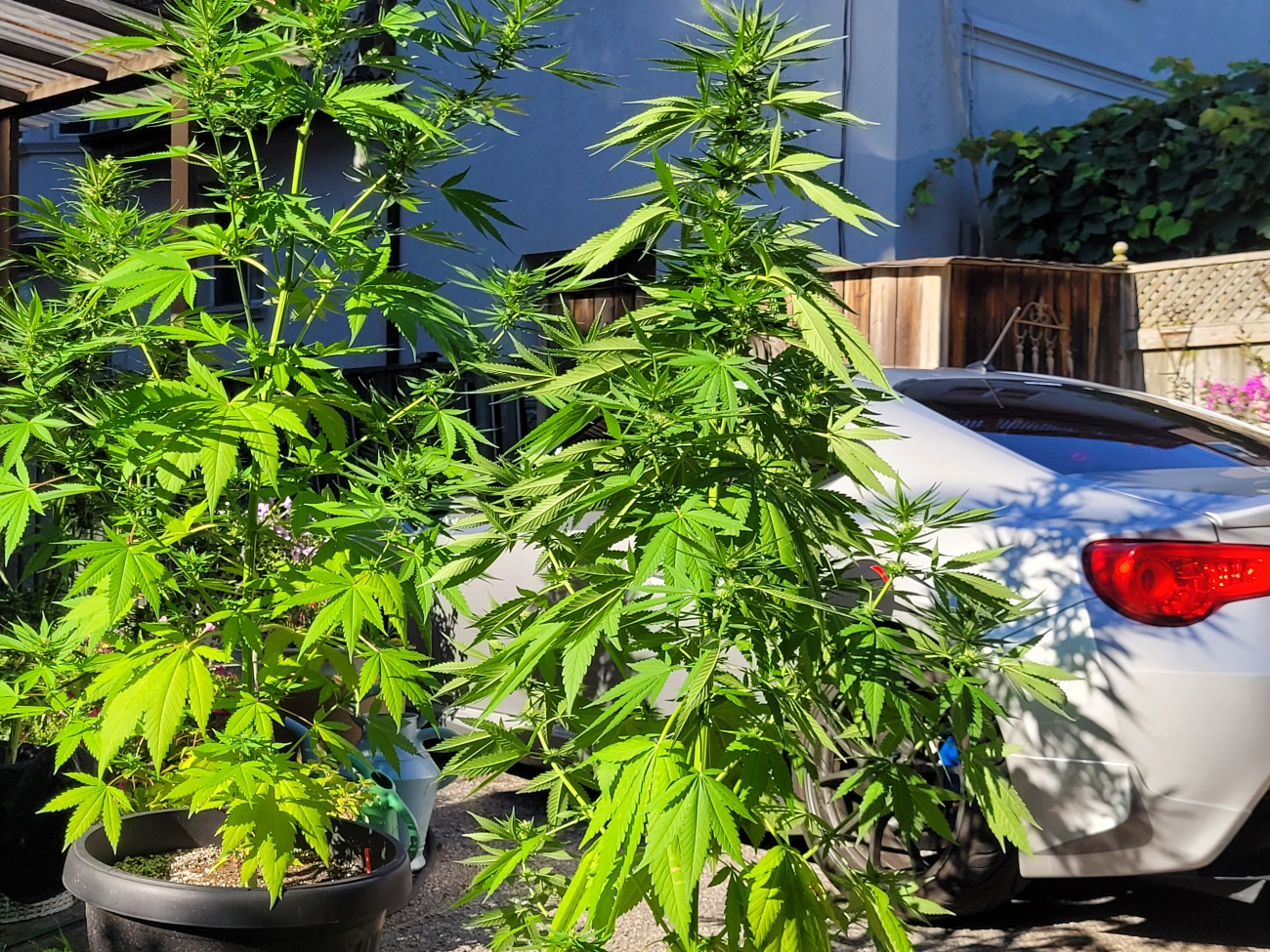 Name:  20220823_171807.jpg
Views: 682
Size:  740.4 KB