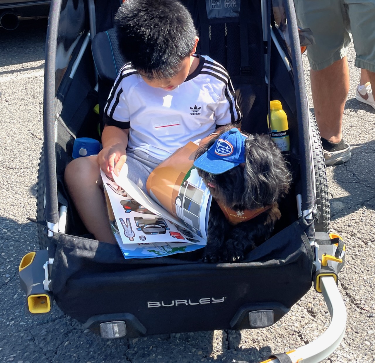 Name:  IMG_6432.jpeg
Views: 321
Size:  582.0 KB