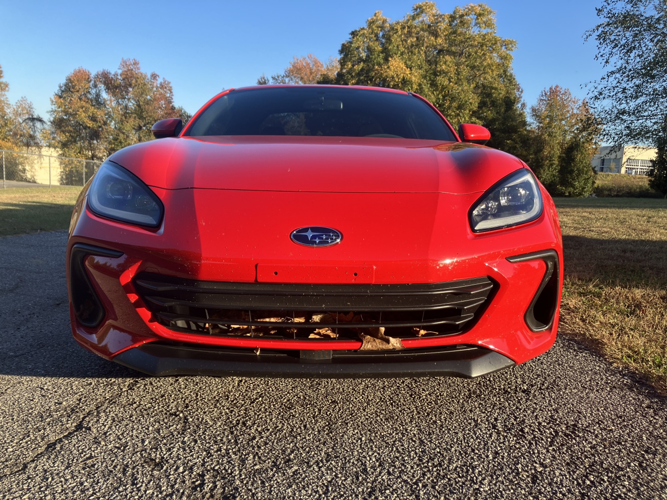 Name:  IMG_0984.jpg
Views: 928
Size:  686.5 KB