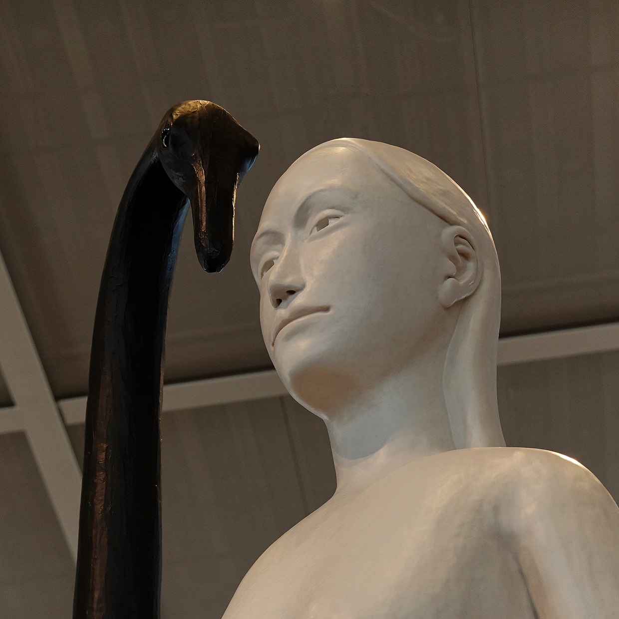 Name:  DSC01351_DxO_DxO.jpg
Views: 33
Size:  470.4 KB