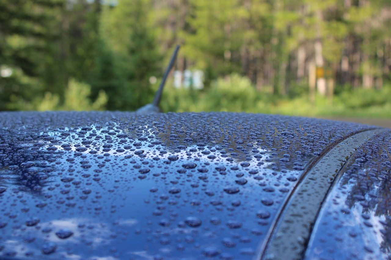 Name:  rsz_img_3182.jpg
Views: 1326
Size:  225.8 KB