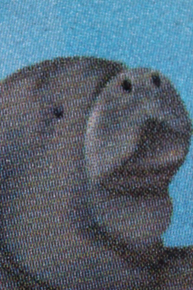 Name:  ImageUploadedByTapatalk1375627888.457951.jpg
Views: 361
Size:  169.3 KB