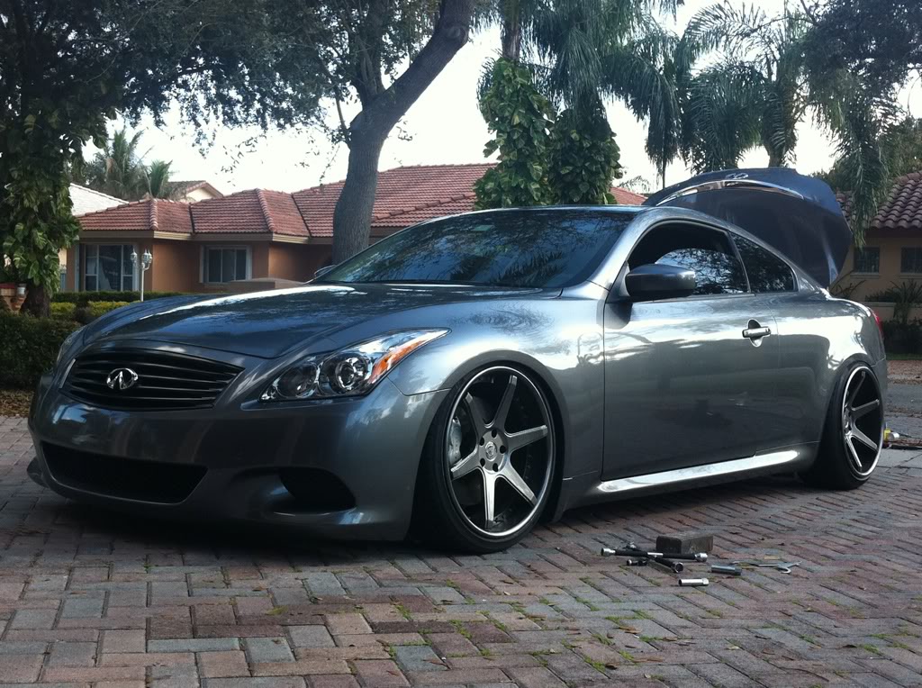 Name:  g37.jpg
Views: 4185
Size:  197.1 KB