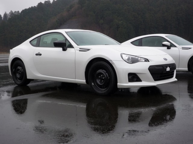 Name:  whitebrz1.jpg
Views: 42475
Size:  58.5 KB