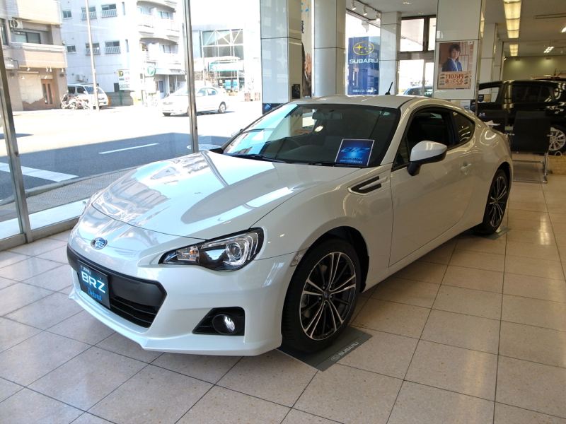 Name:  whitebrz10.jpg
Views: 46608
Size:  81.1 KB