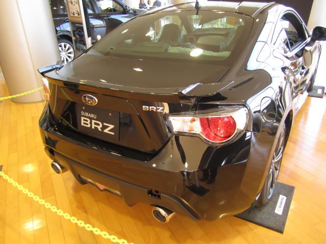 Name:  blackbrz2.jpg
Views: 29342
Size:  51.1 KB