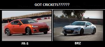 Name:  got crickets.jpg
Views: 811
Size:  18.4 KB