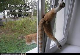 Name:  ballswall.png
Views: 225
Size:  129.2 KB