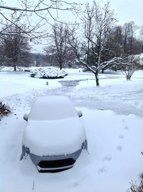 Name:  snow.jpg
Views: 1392
Size:  325.1 KB