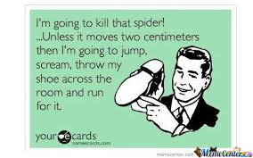 Name:  spiders6.jpg
Views: 288
Size:  10.7 KB