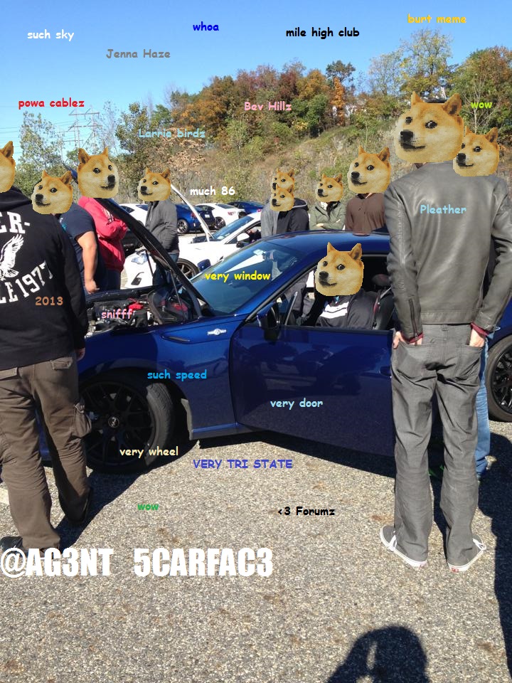 Name:  she2.jpg
Views: 556
Size:  292.6 KB