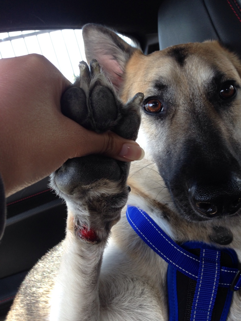 Name:  ImageUploadedByTapatalk1396475411.672845.jpg
Views: 1461
Size:  273.5 KB