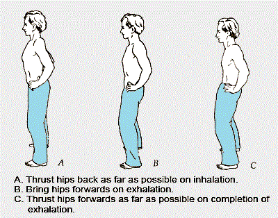 Name:  pelvic-thrust.gif
Views: 1411
Size:  38.5 KB