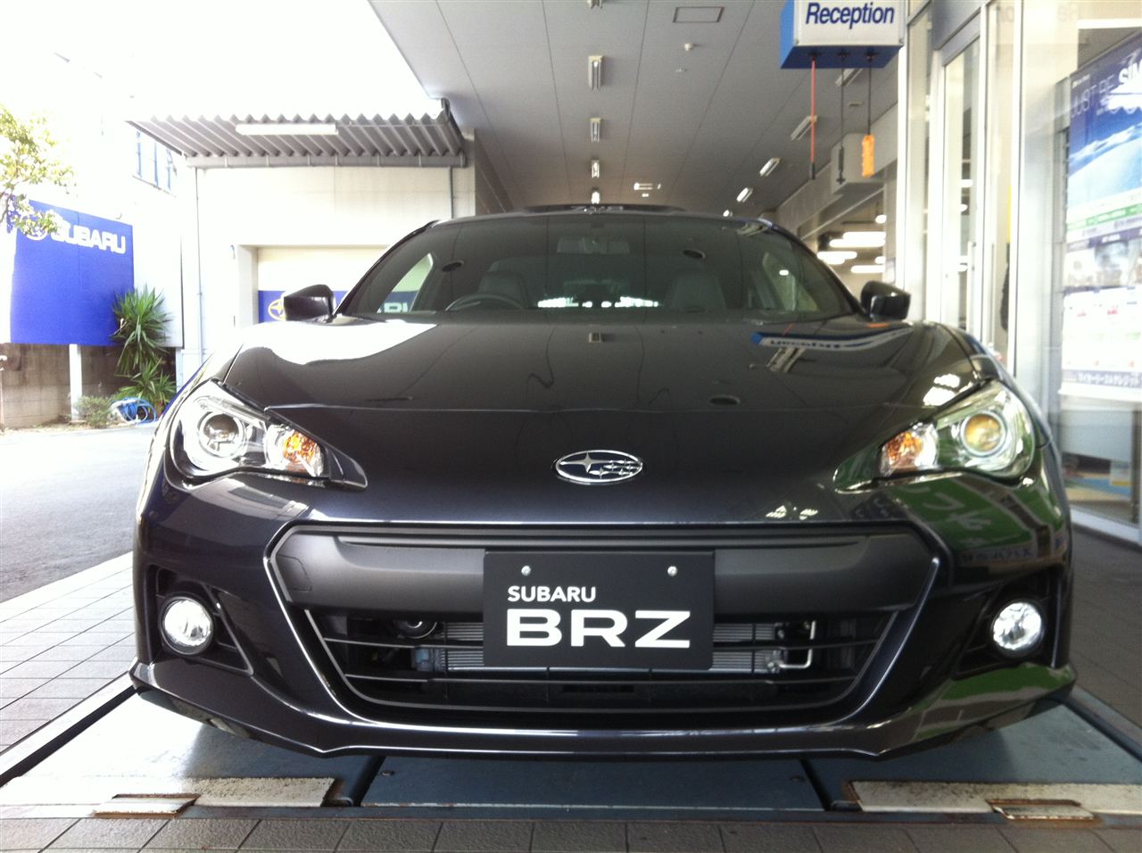 Name:  graybrz3.jpg
Views: 24098
Size:  154.4 KB