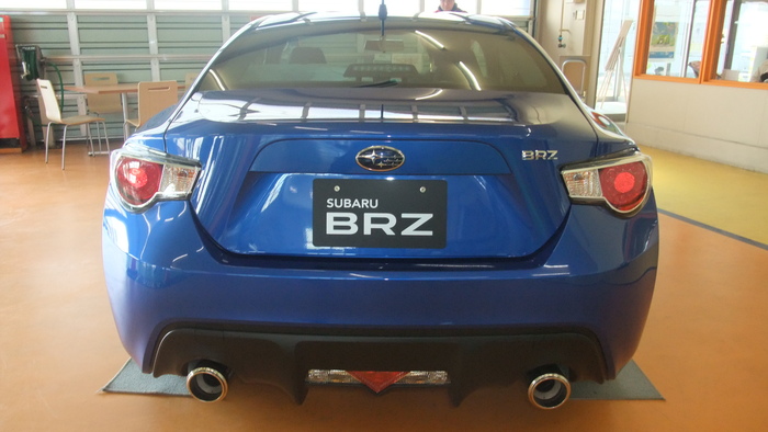 Name:  bluebrz3.jpg
Views: 38264
Size:  120.7 KB