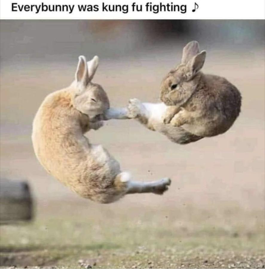 Name:  kungfu_bunny.jpg
Views: 258
Size:  56.5 KB