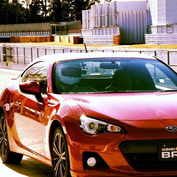 Name:  red-brz-14.jpg
Views: 18351
Size:  126.2 KB