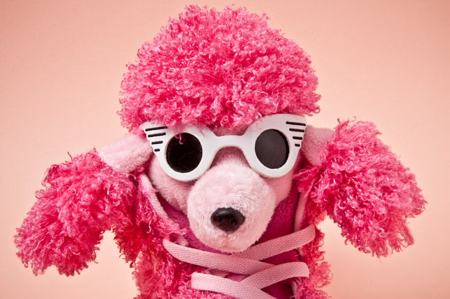 Name:  adidas-originals-js-poodles-sunnies-1.jpg
Views: 2085
Size:  93.5 KB