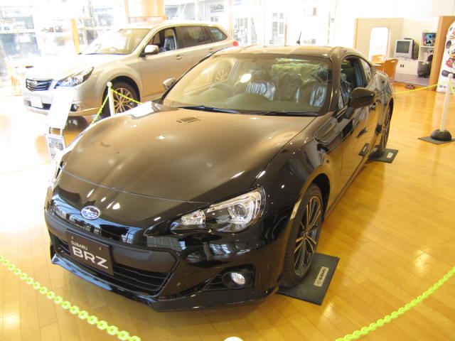 Name:  blackbrz1.jpg
Views: 29119
Size:  48.8 KB