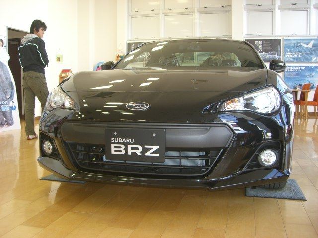 Name:  blackbrz4.jpg
Views: 28927
Size:  55.7 KB