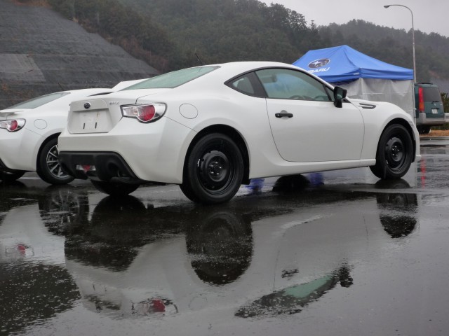 Name:  whitebrz2.jpg
Views: 42943
Size:  65.7 KB